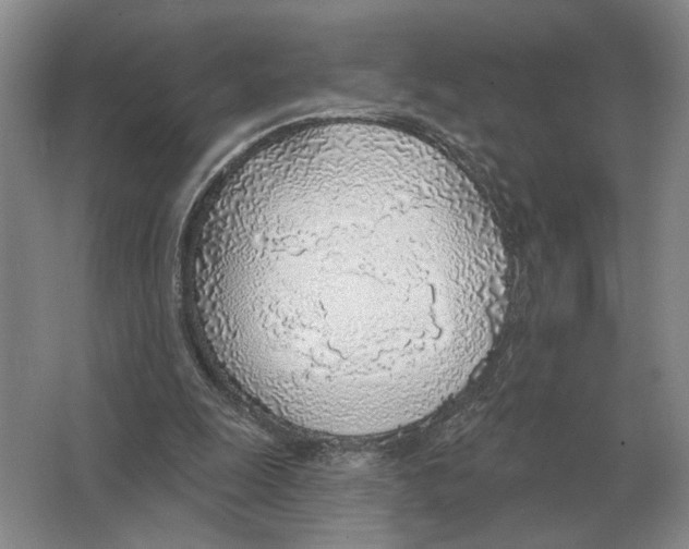 X0000063450247200602171906