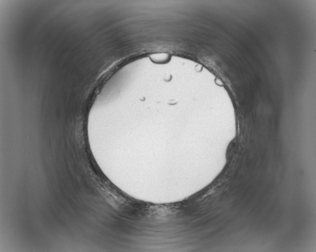 X0000063450249200602171906