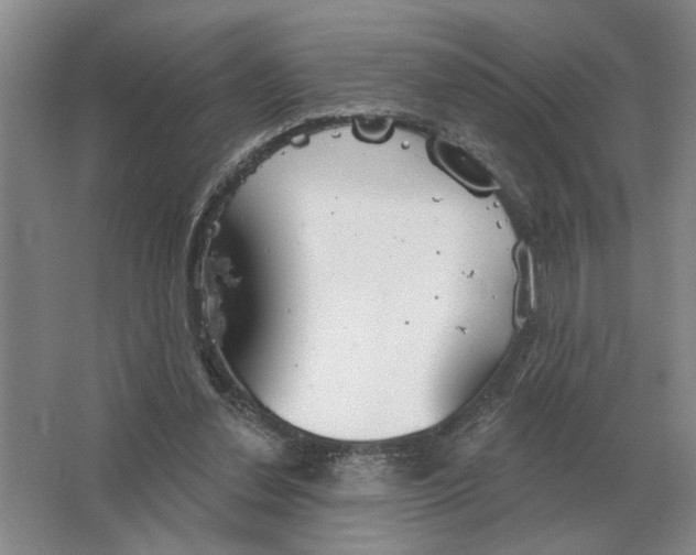 X0000063450252200602171906