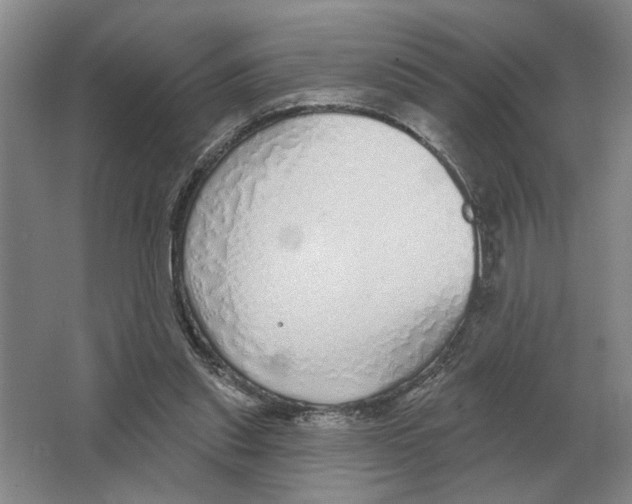 X0000063450253200602171906