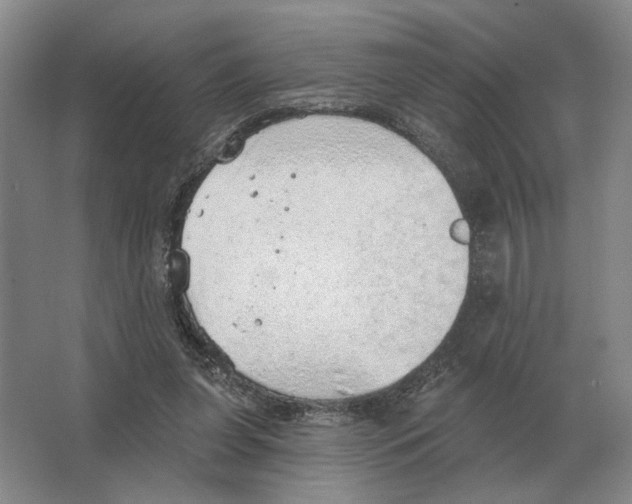 X0000063450255200602171906