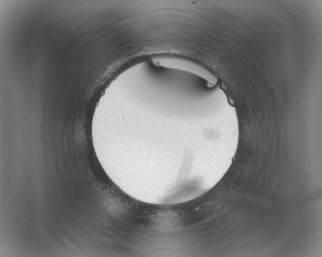 X0000063450256200602171906