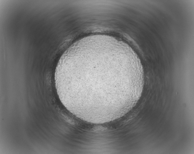 X0000063450257200602171906