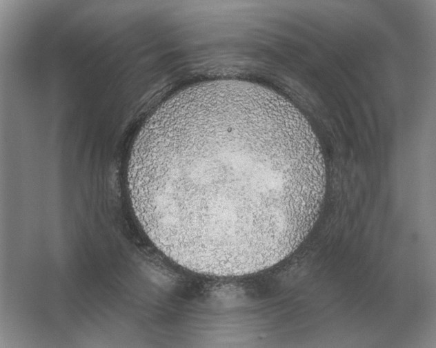 X0000063450258200602171906