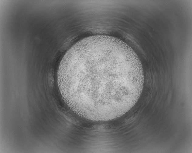 X0000063450259200602171906