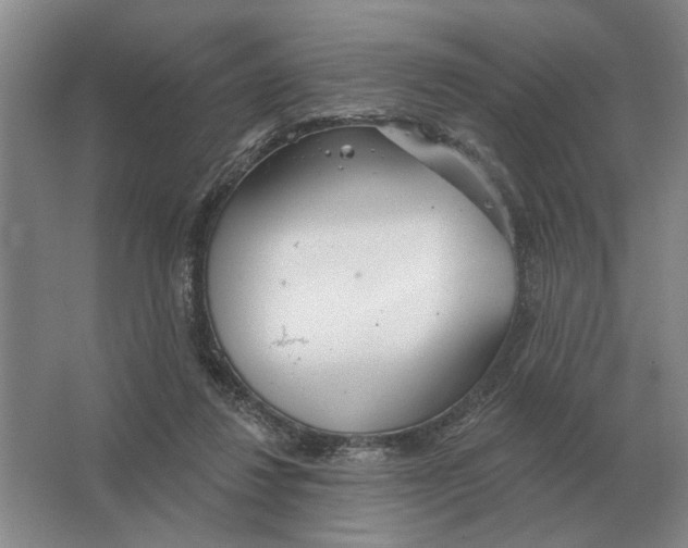 X0000063450260200602171906