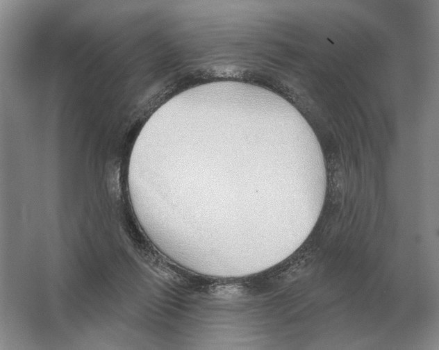 X0000063450262200602171906