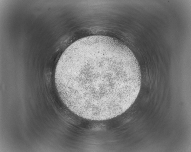 X0000063450263200602171906