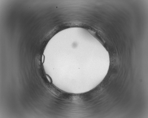 X0000063450264200602171906