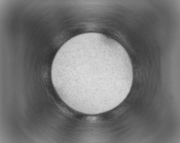 X0000063450265200602171906