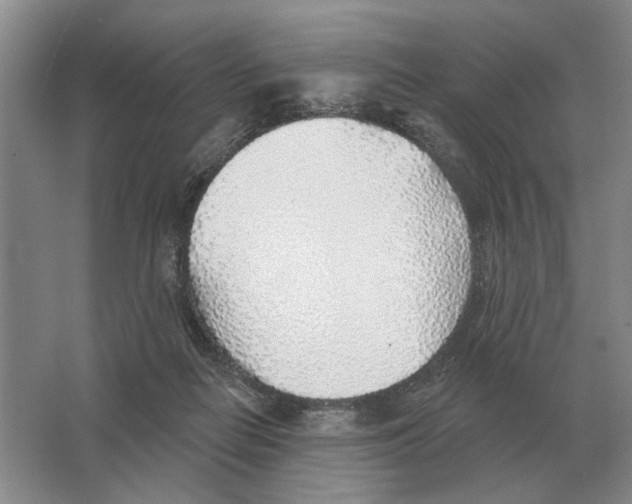 X0000063450266200602171906