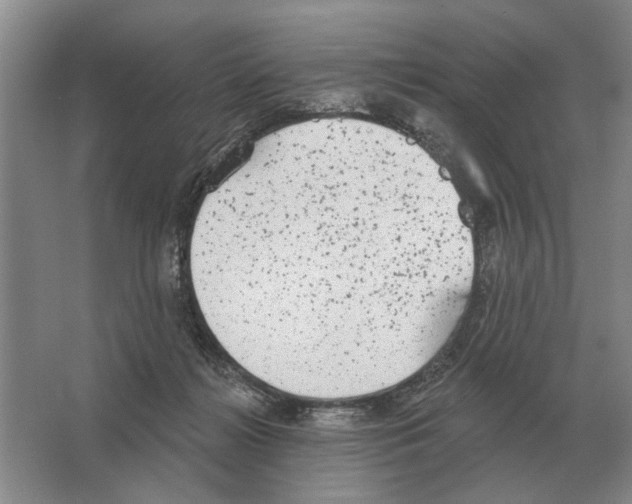 X0000063450268200602171906