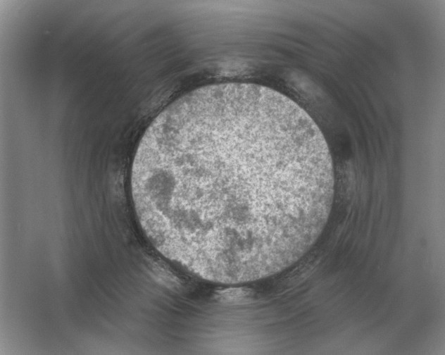 X0000063450269200602171906