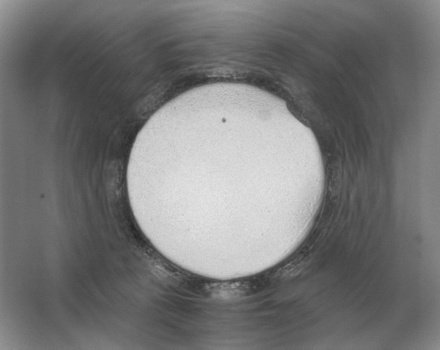 X0000063450273200602171906