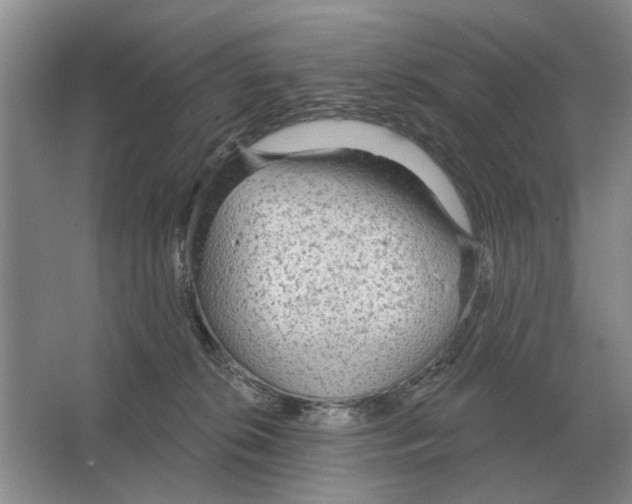 X0000063450276200602171906