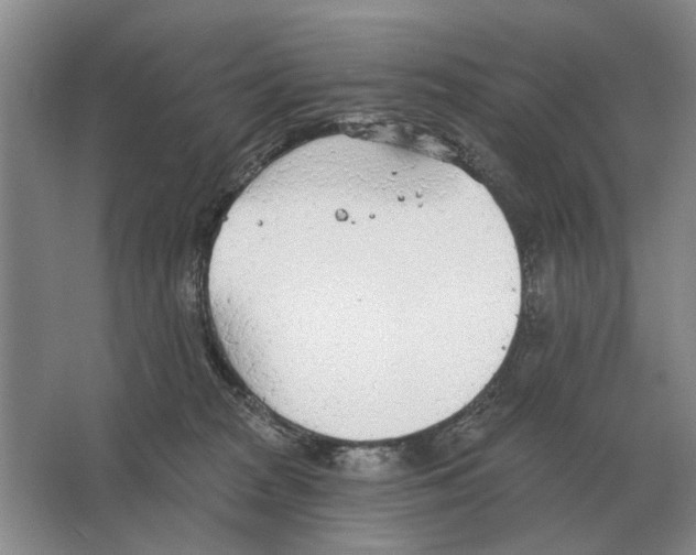 X0000063450277200602171906