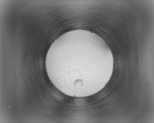 X0000063450279200602171906