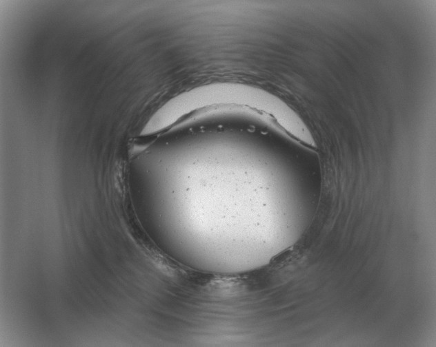 X0000063450280200602171906