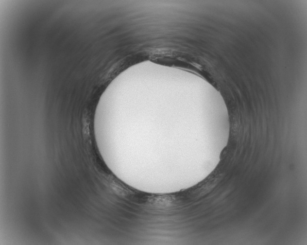 X0000063450282200602171906