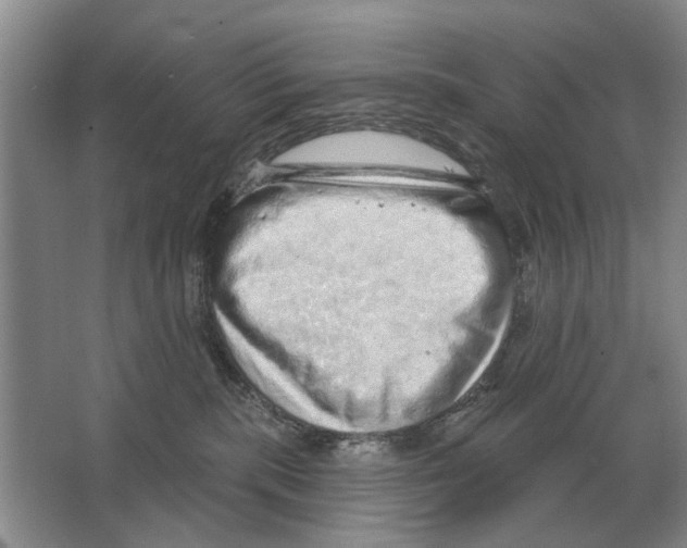 X0000063450283200602171906