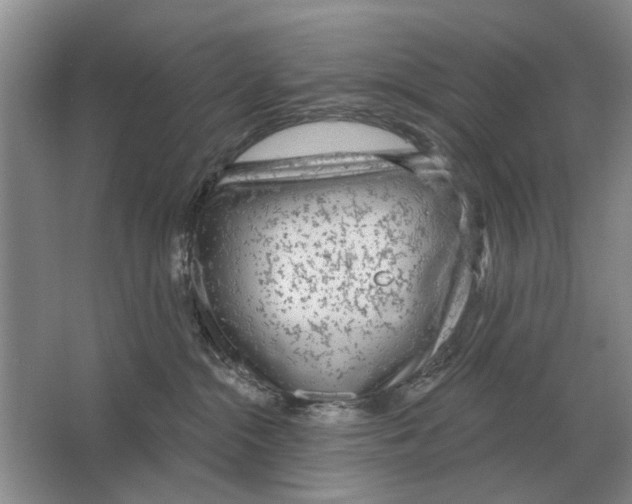 X0000063450284200602171906