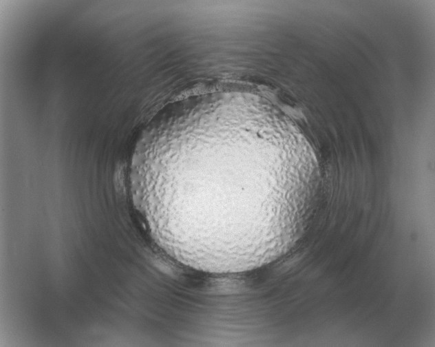 X0000063450286200602171907