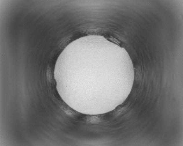 X0000063450287200602171907