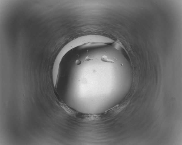 X0000063450288200602171907