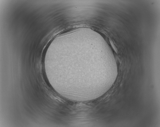 X0000063450290200602171906