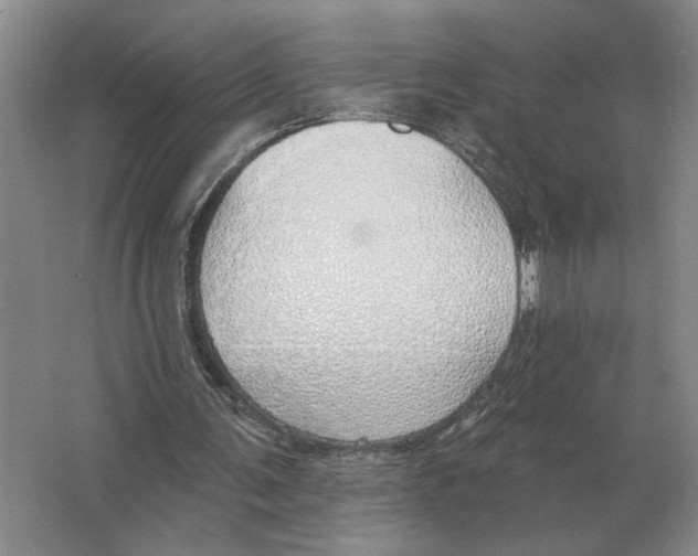 X0000063450291200602171906