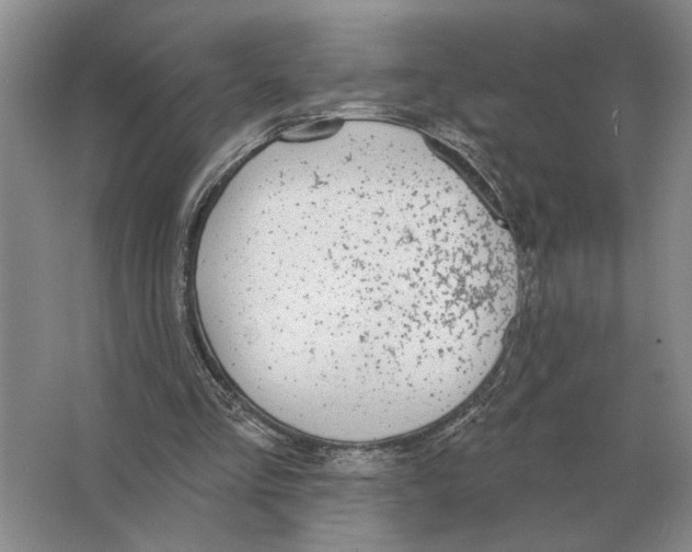 X0000063450293200602171906