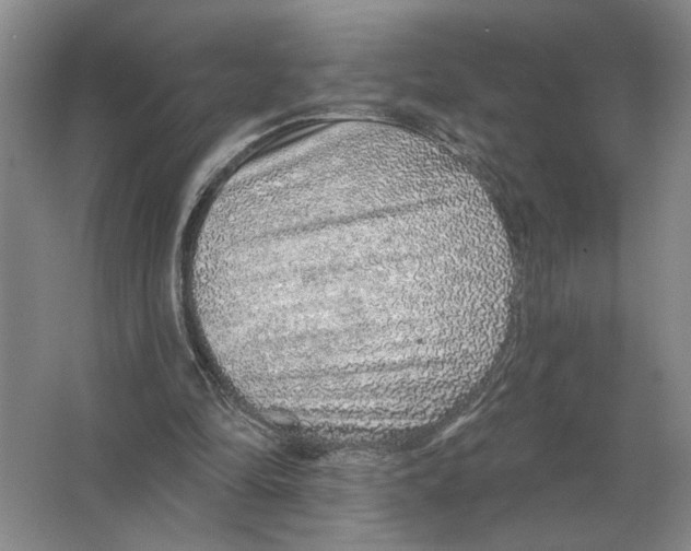 X0000063450294200602171906