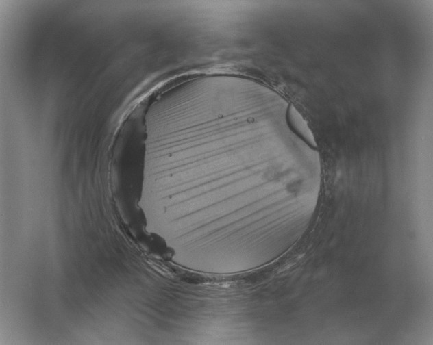 X0000063450295200602171906