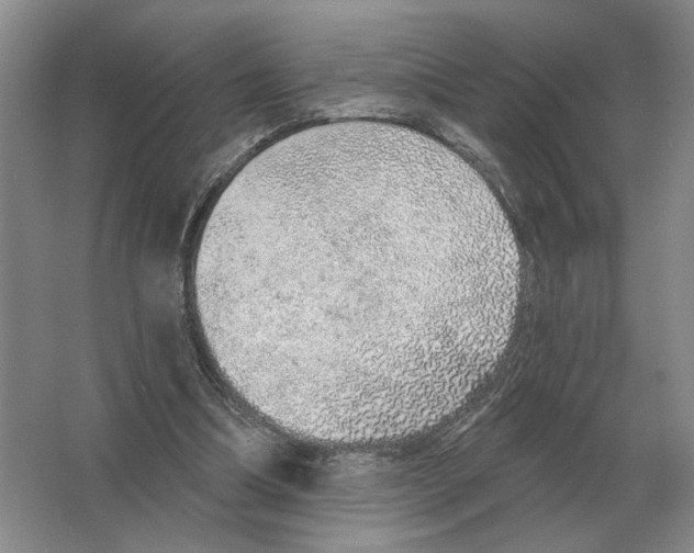 X0000063450298200602171905