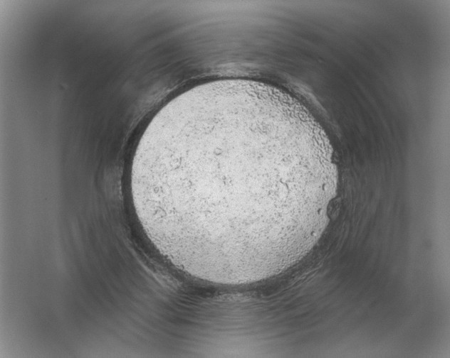 X0000063450299200602171905