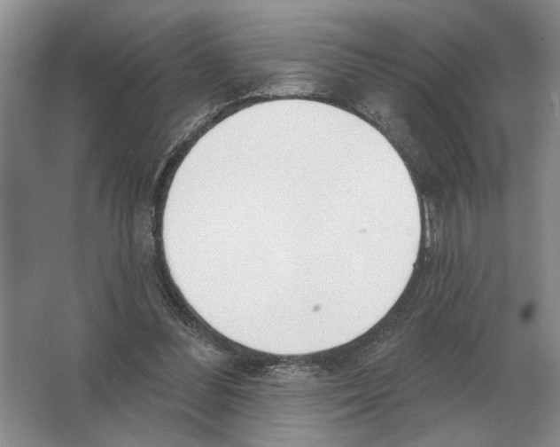 X0000063450300200602171905