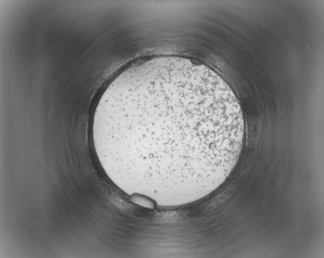 X0000063450301200602171905