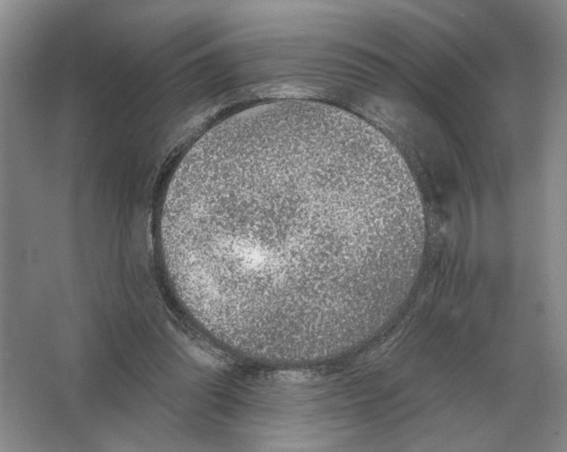 X0000063450302200602171905