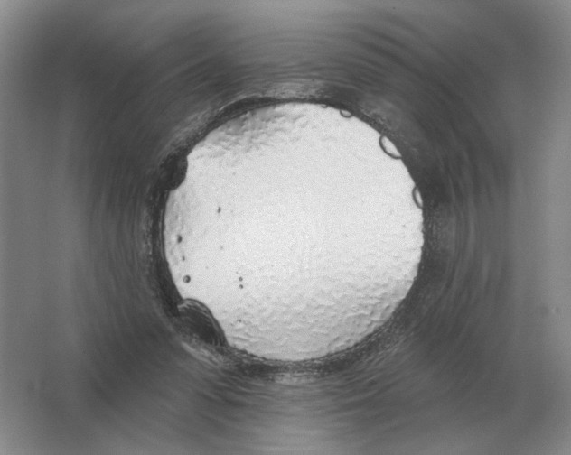 X0000063450303200602171905