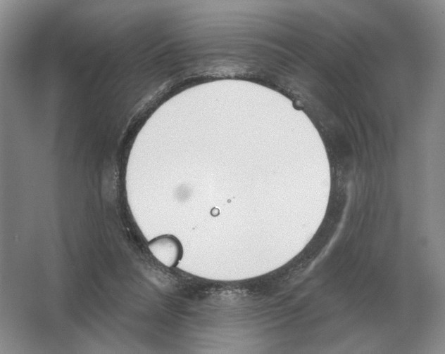 X0000063450304200602171905