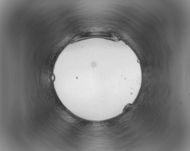 X0000063450305200602171905