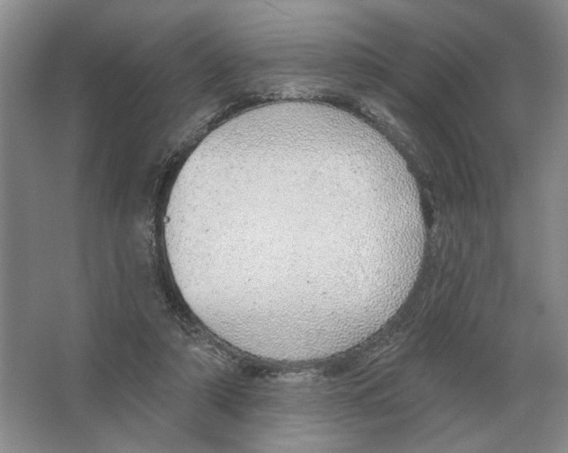 X0000063450306200602171905