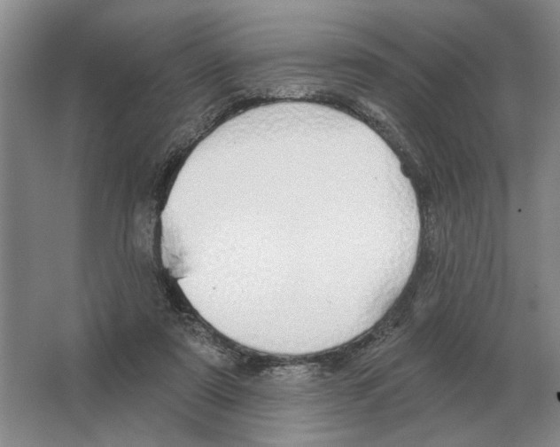 X0000063450307200602171905