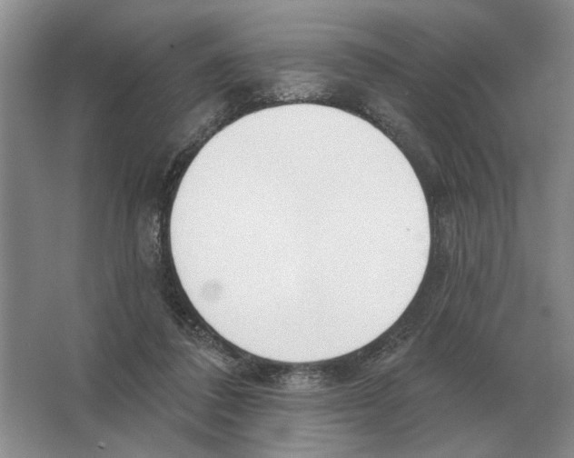 X0000063450308200602171905