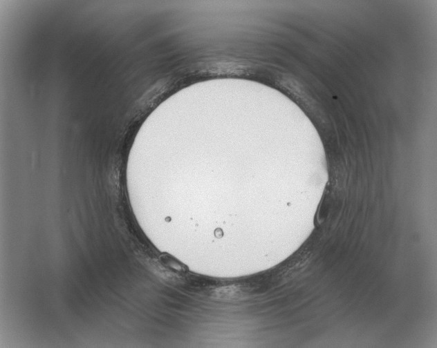 X0000063450309200602171905