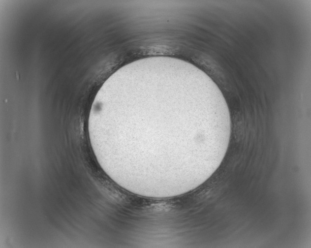 X0000063450310200602171905