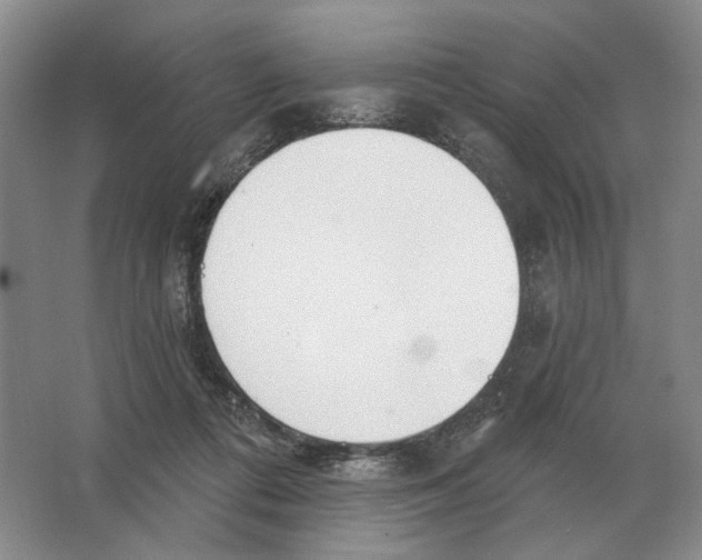 X0000063450312200602171905