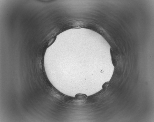 X0000063450313200602171905