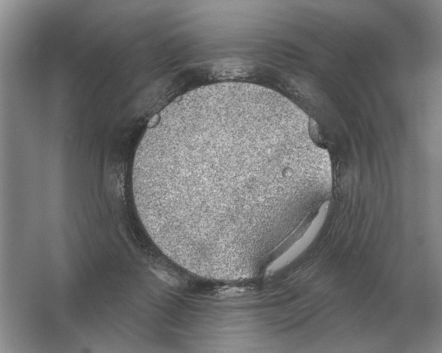 X0000063450315200602171905