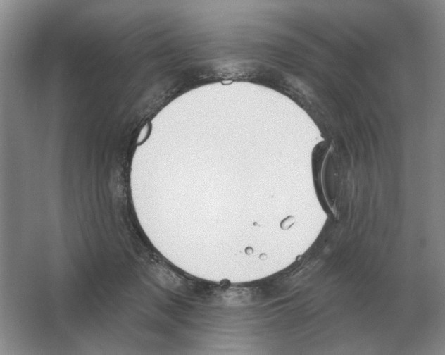 X0000063450317200602171905